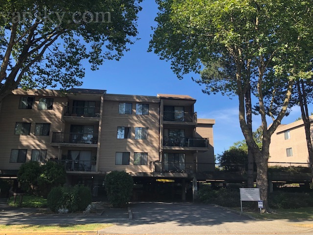 200815215027_image0 (2).jpeg